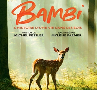 Gagnez un laissez-passer familial pour voir Bambi au cinéma !