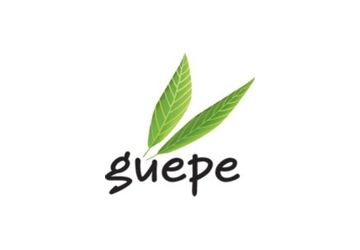 Camp GUEPE